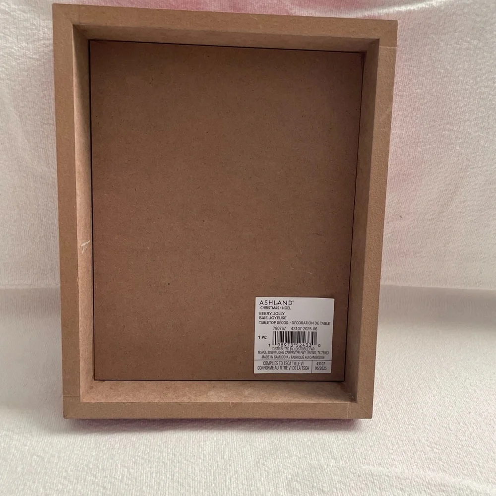 NWT Ashland Festive Holiday Sign with Holly - Red and Pink
